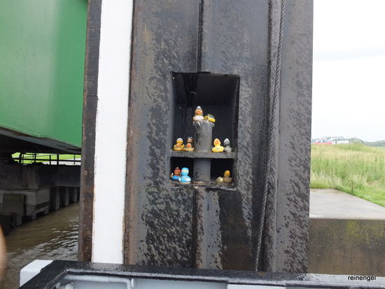 Alle meine Entlein am Fähranleger.