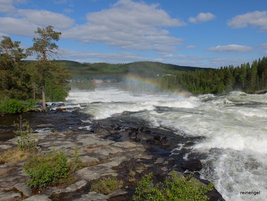 So was hast Du noch nicht gesehen und gehört! Der Storforsen, die größte Stromschnelle Skandinaviens mit 5 km Länge.