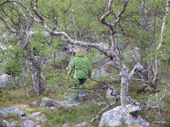 Der "Weg" ist das Ziel.