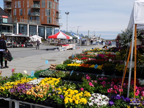 Frühling auf dem Blumenmarkt.