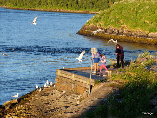 Mensch und Tier freuen sich über den guten Fang.
