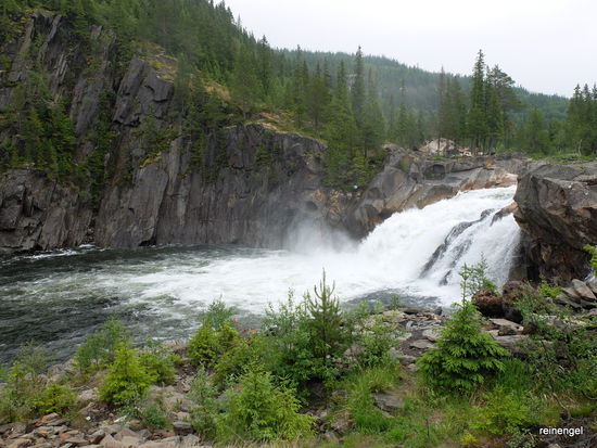 Die Wildnis hat uns wieder.