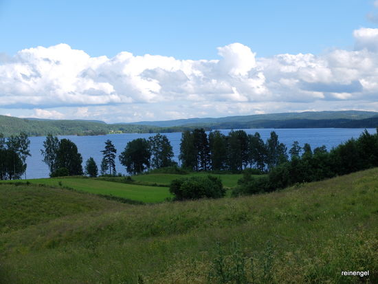 Es grünt so grün, fast schon wieder wie zu Hause.