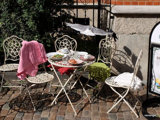 Im Haga Viertel lässt es sich aushalten. Auch die hungrigen Vögel kommen auf ihre Kosten, man muss nur warten können. Die gemütliche Fußgängerzone Haga Nygata mit ihren Holzhäusern aus dem 16. Jahrhundert verlockt zu einer Pause in einem der zahlreichen Cafés. Göteborg größte Zimtschnecke gibt es nebenan.