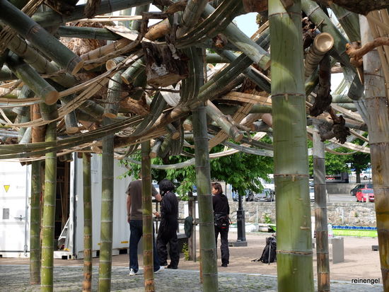 Ein bekannter chinesischer Künstler baut gerade seinen begehbaren Bambuswald auf.