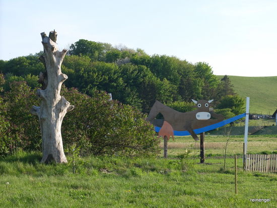 Den Originalkühen geht es hier genauso gut.