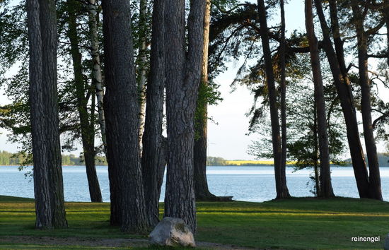 Blick von unserem Stellplatz bei Motala am Vättern.