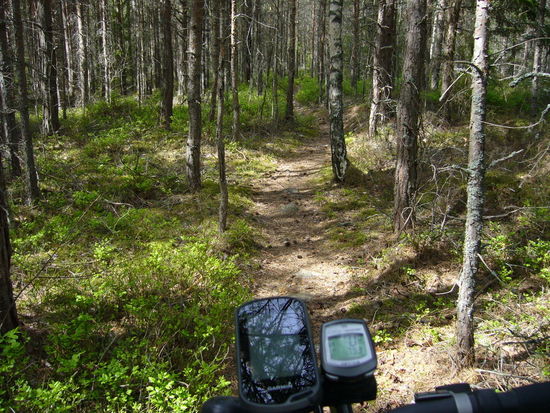 Die teilweise als Naturreservat ausgewiesene Halbinsel Hammarö kann man zu Fuß über kaum erkennbare Pfade oder mit dem Bike erkunden. Unterwegs findet man traumhafte Plätze, allerdings sind Materialschäden manchmal nicht zu vermeiden.