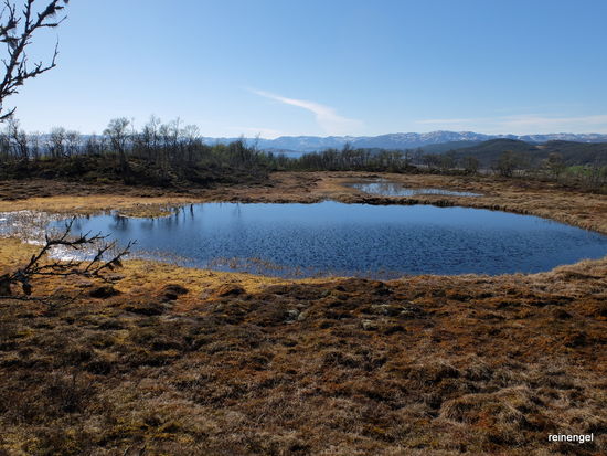 Zum Glück haben wir wasserdichte Schuhe, denn ständig steht man vor moorigen Schmelzwassertümpeln, die wohl erst vor kurzem aus ihrem Winterschlaf erwacht sind.