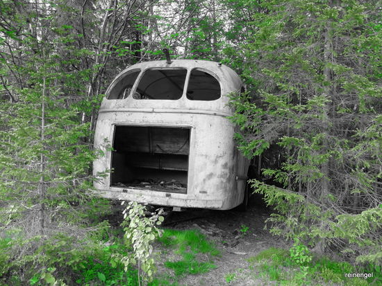 Ein seltenes Bild ist Schrott im Wald oder Abfälle, wo sie nicht hingehören.