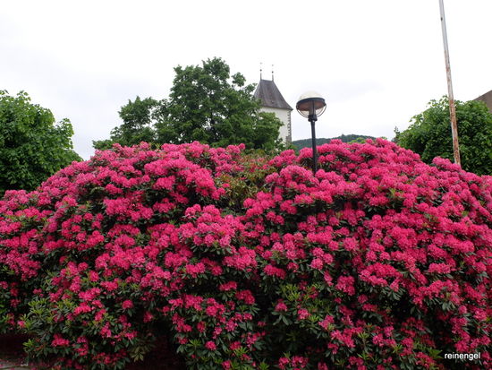 Farben spielen bei dem oft tristen Wetter ein wichtige Rolle auch für den Fotografen.