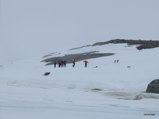 Sommerskilangläufer unterhalb vom unsichtbaren Jotunheimen auf echtem Schnee. Kein Wunder, bewegen wir uns hier zwischen den zwei Nationalparks Jotunheimen und Jostedalsbreen auf dem Sognefjellvegen, der höchstgelegenen Passstraße Nordeuropas.
