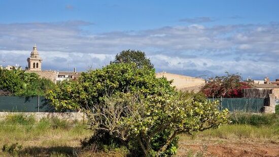 Sag, wo sind die Berge hin,...