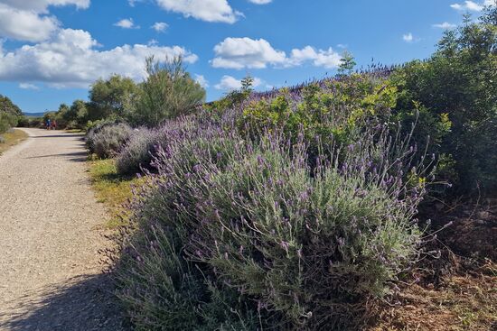 Via Verde- ein Traum!