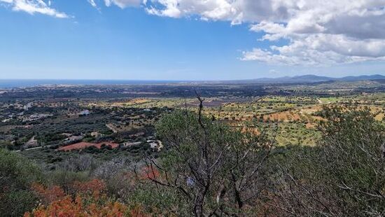 Nach Süden, nach Süden,...