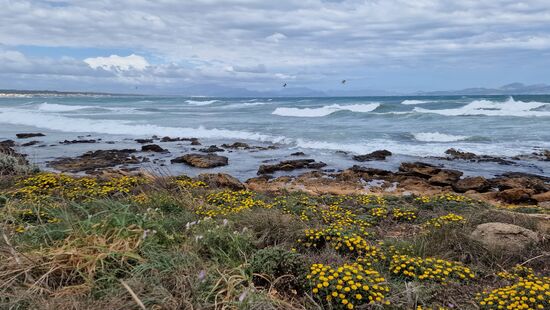 Mallorca- meine große Liebe!