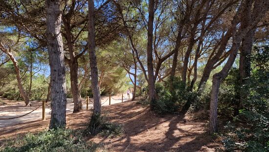 Der Beginn einer schönen Wanderung