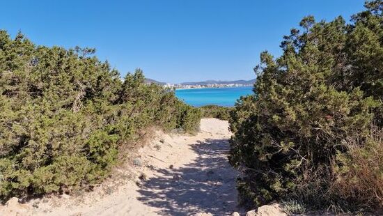 Die Farbe des Wassers!