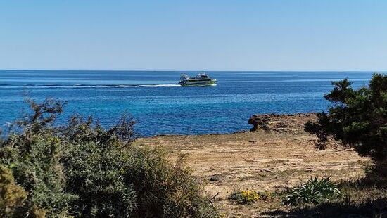 Ein Ausflugsboot in Richtung Sa Coma