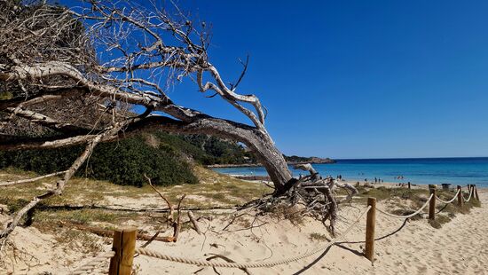 Ein erster Blick zur Cala Agulla.