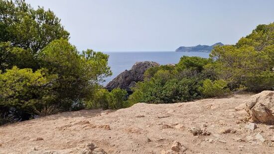 Blick in Richtung Cala Ratjada