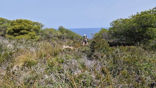 Die kleinen Pfade sind so interessant,..