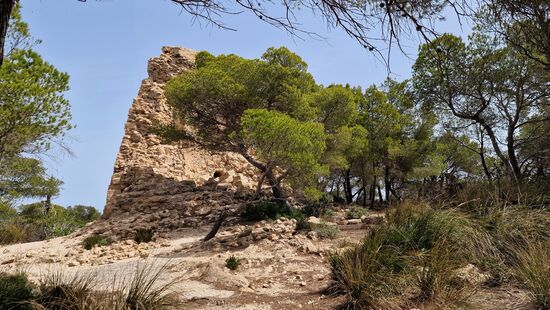 Der Blick von Osten auf die Turmruine