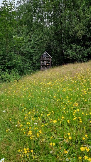 Der Beginn des Aufstieges zur Stiftskanzel