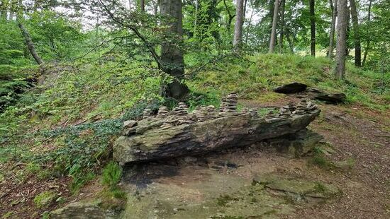 Auch hier zu finden, wie so oft auf Wanderungen