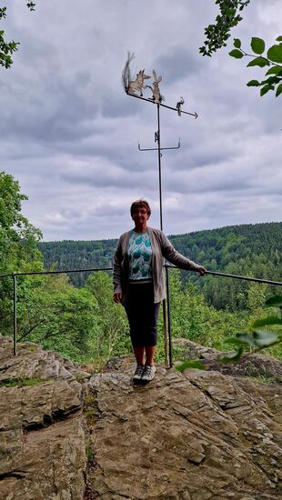 Hier auf dem Gipfel sagen sich Fuchs und Hase "Gute Nacht".  (siehe Wetterfahne)