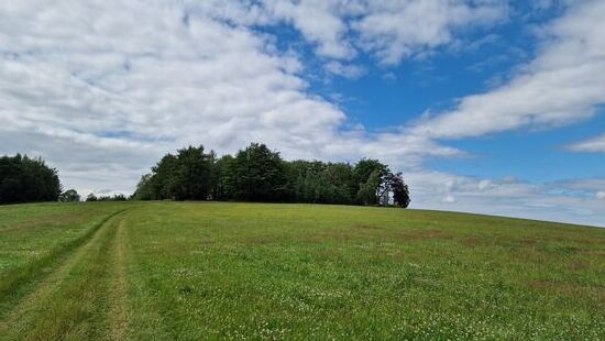 Blick zurück vom Wanderweg aus