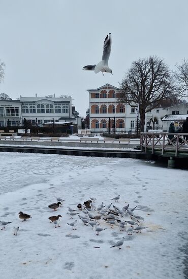 Die Seepromenade am Schmachter See