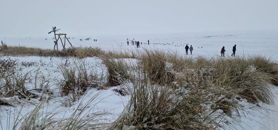 Und auch am frühen Morgen sind schon wieder viele Leute auf dem Eis