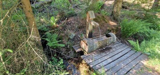 Eine Wohltat für die schwitzende Wanderin