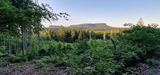 Abendlicher Blick zum Großen Zschirnstein