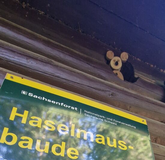 .... und hier sogar die Haselmaus!!!!