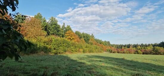 Morgensonne