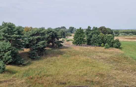 Eine der Sanddünen