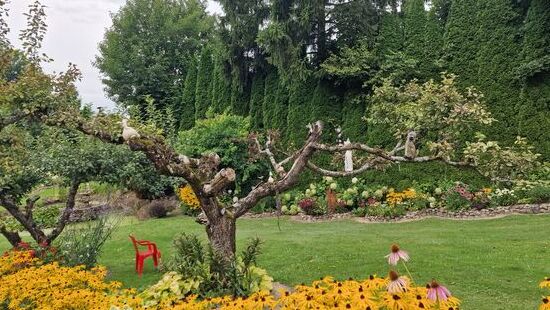 Ganz tolle Gartenanlage