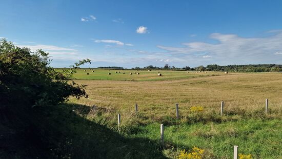 Weite Landschaft