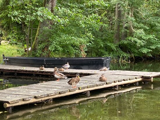 An der Krutina