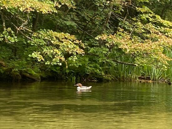 Ruhe und Natur