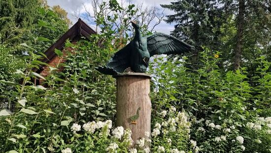 Eine herrliche Gartenalge