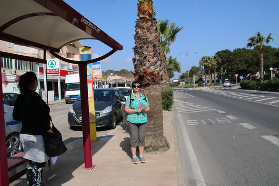 Märzsonne auf Mallorca. Und mit dem Linienbus fahren wir nach Can Picafort