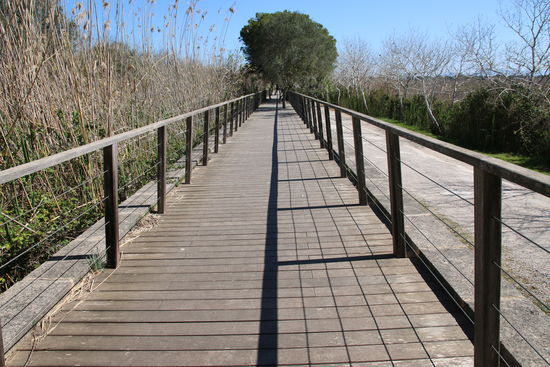 In der Nähe des Info- Büros in der Albufera