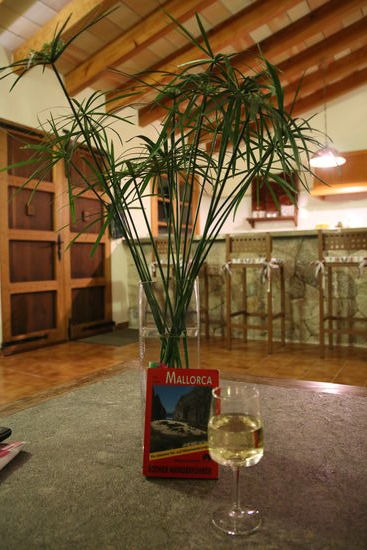 Mein Mallorca- ich bin wieder da!!!!