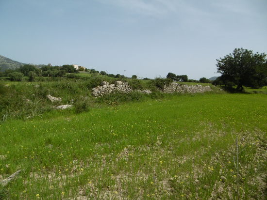 Entdeckungen rechts und links des Weges