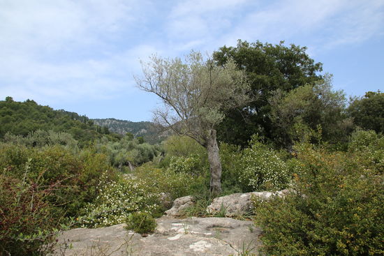 Das sind Blicke,...!