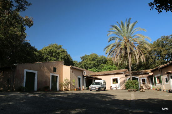 Das Gelände der Foundation