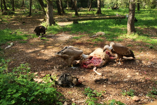 In trauter Gemeinsamkeit
Es ist für jeden etwas Passendes dabei